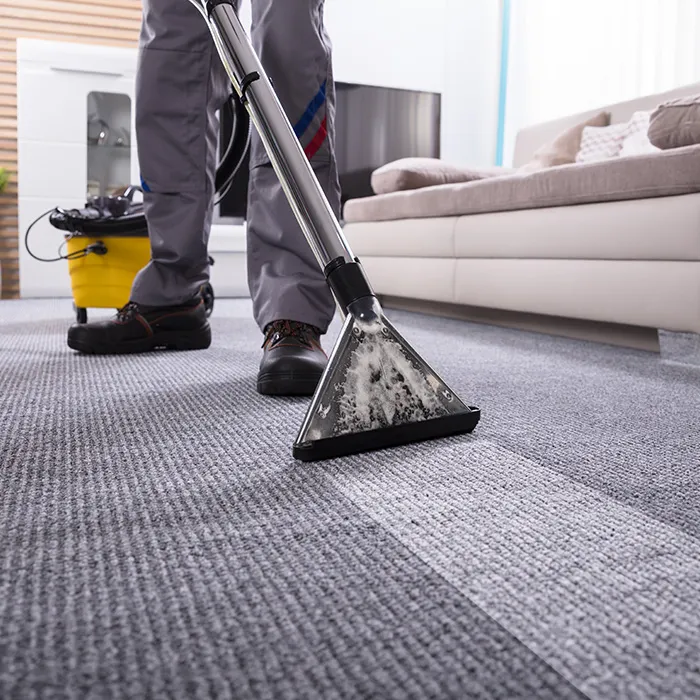 Man with Steam Cleaning Carpet Wand