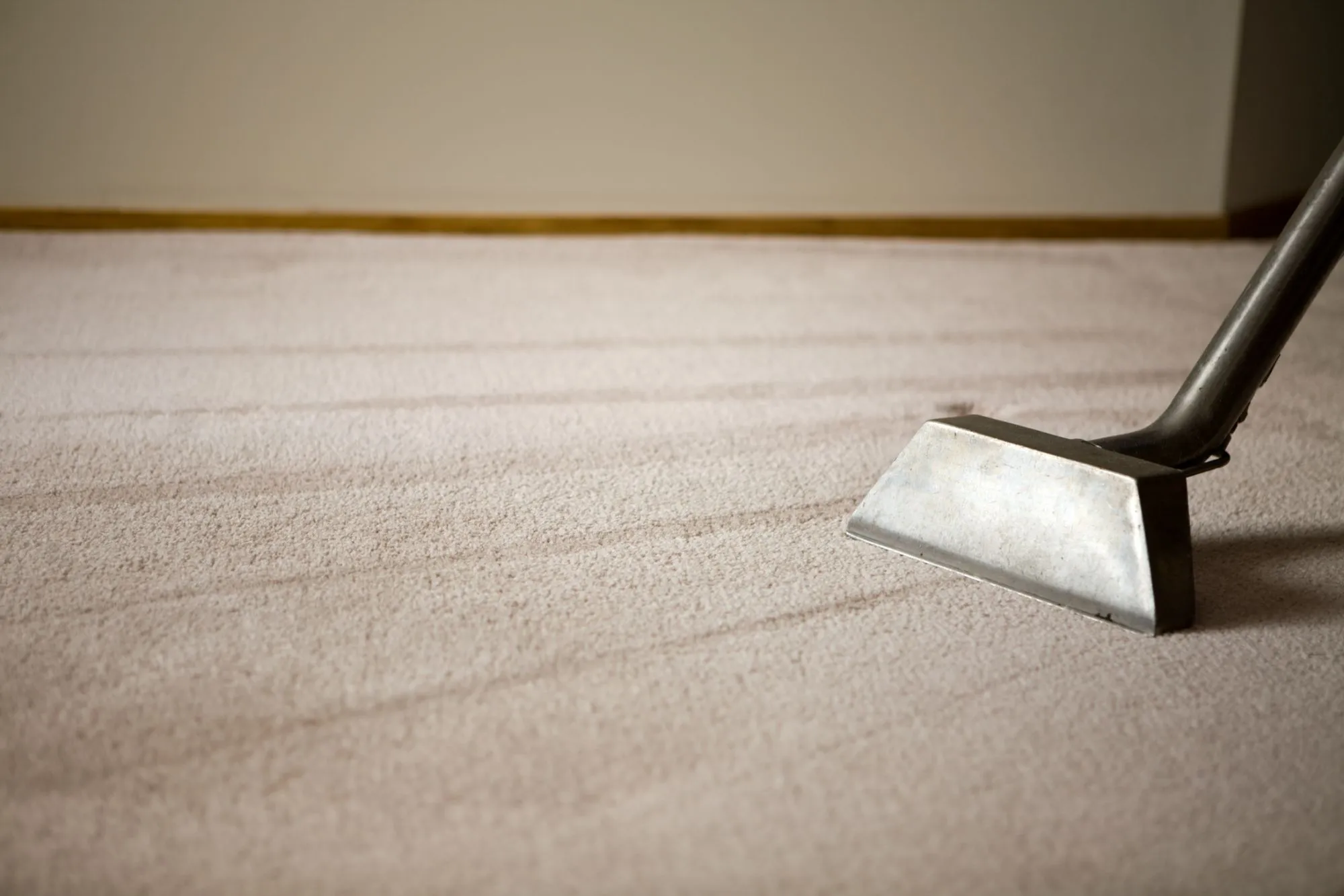 Steam Cleaning Carpets in Star Idaho